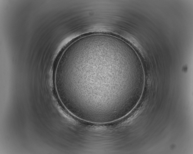 X0000097461030200802291231