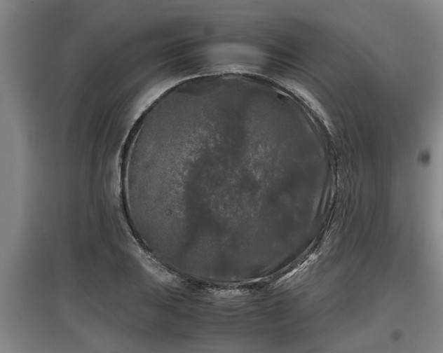 X0000097461031200802291231