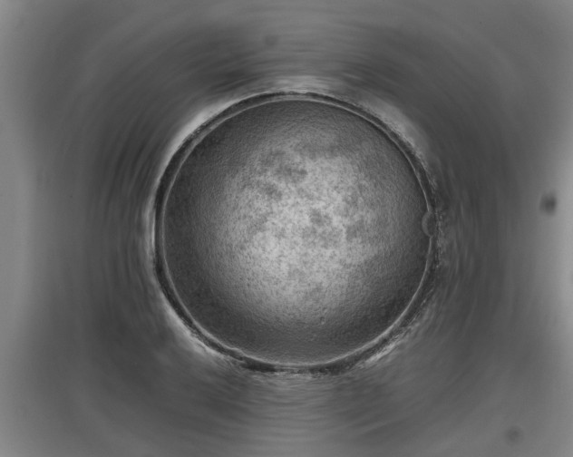 X0000097461032200802291231