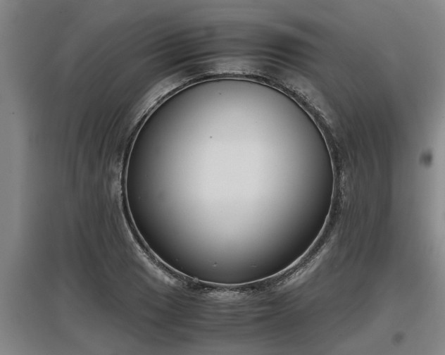 X0000097461033200802291231