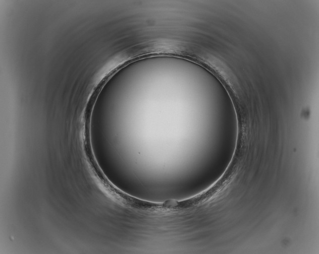 X0000097461034200802291231