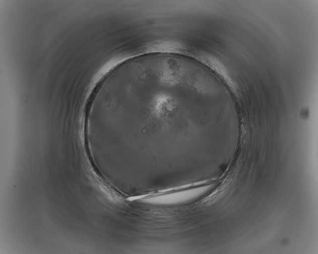 X0000097461035200802291231