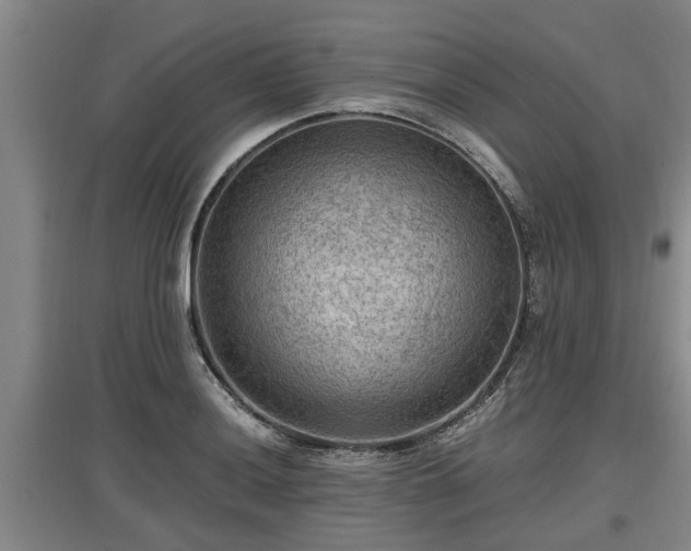 X0000097461036200802291231