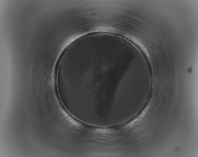 X0000097461037200802291231