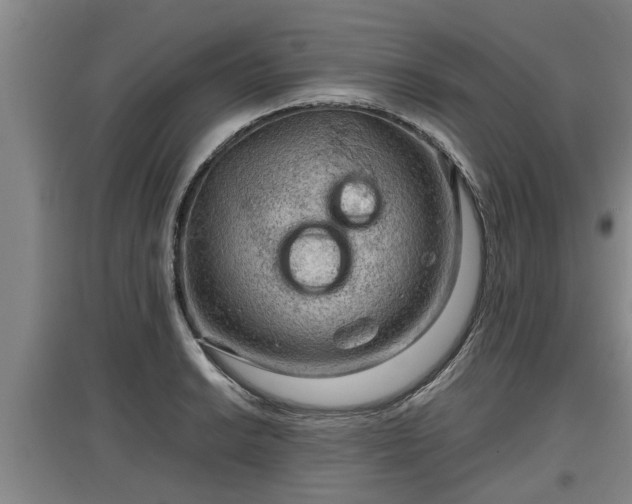 X0000097461038200802291231