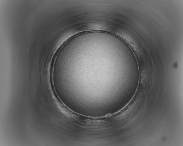 X0000097461039200802291231