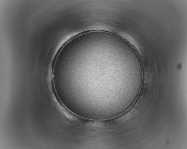 X0000097461040200802291231