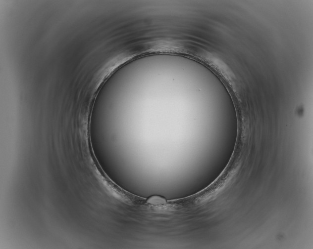 X0000097461041200802291231