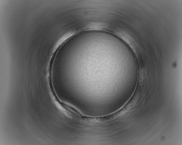 X0000097461042200802291231