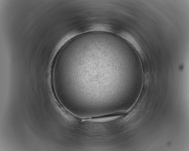 X0000097461043200802291231