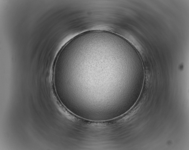 X0000097461044200802291231