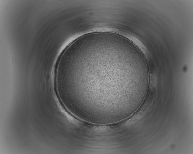 X0000097461046200802291231