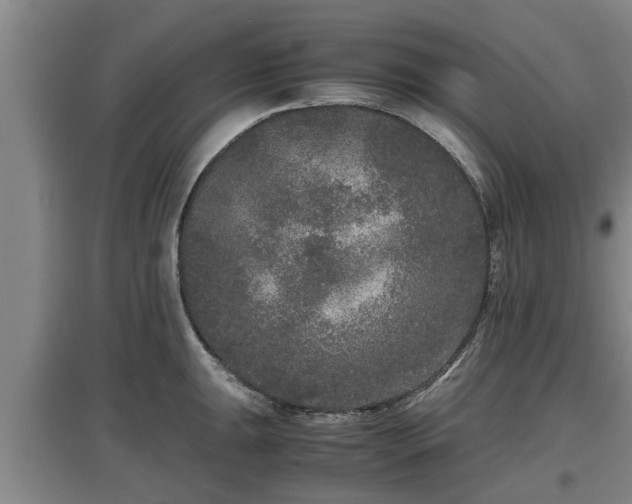 X0000097461047200802291231