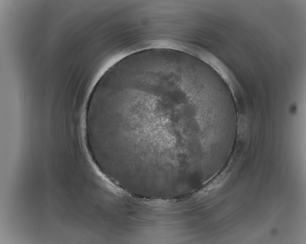 X0000097461048200802291231