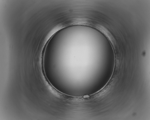 X0000097461050200802291231