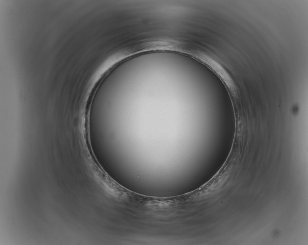 X0000097461051200802291231