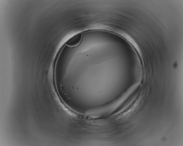 X0000097461053200802291231