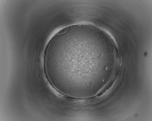 X0000097461054200802291231