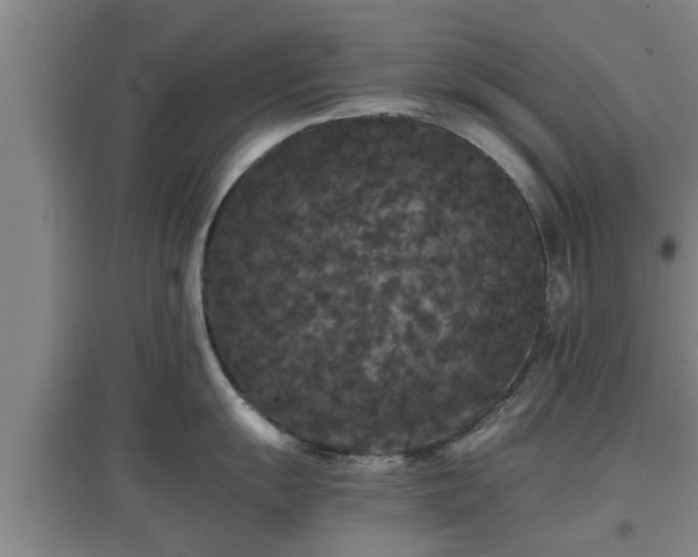 X0000097461055200802291231