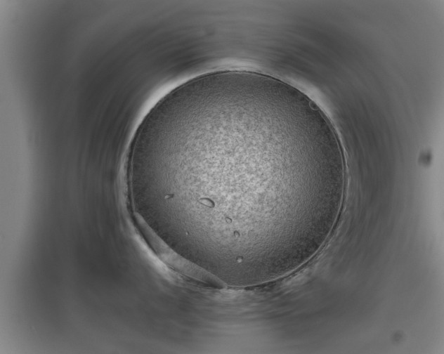 X0000097461056200802291232