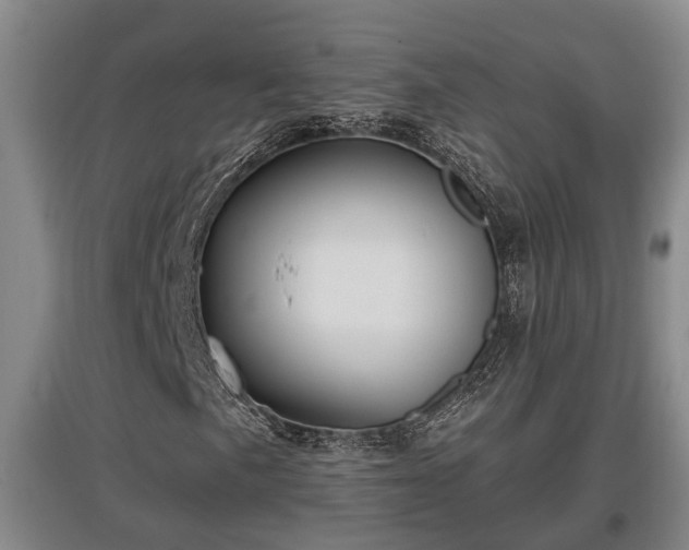 X0000097461057200802291231