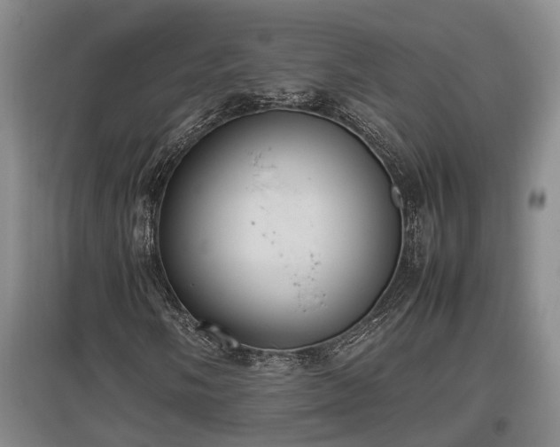 X0000097461058200802291231