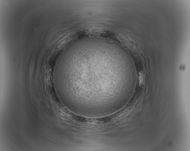 X0000097461059200802291231