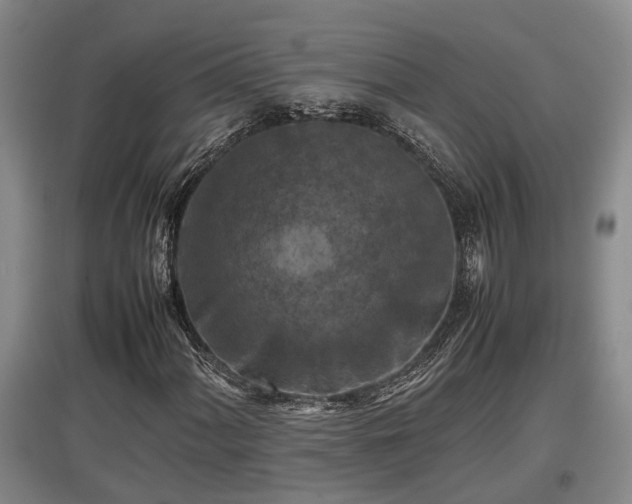 X0000097461060200802291231