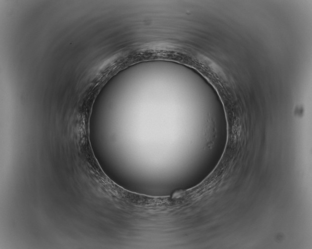 X0000097461062200802291231