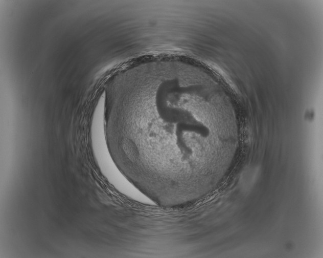 X0000097461063200802291231