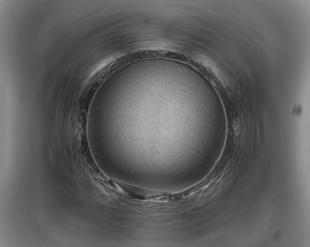 X0000097461064200802291231