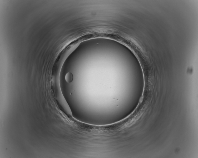 X0000097461065200802291231