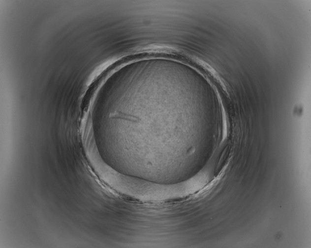 X0000097461066200802291231