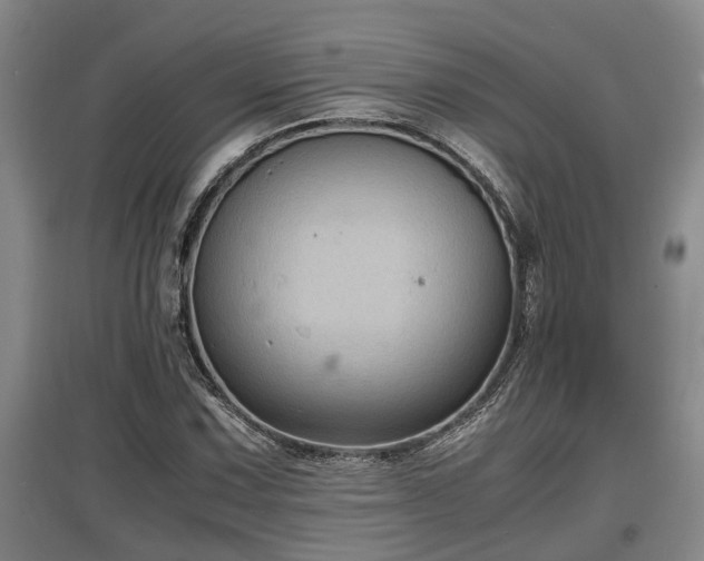 X0000097461067200802291231