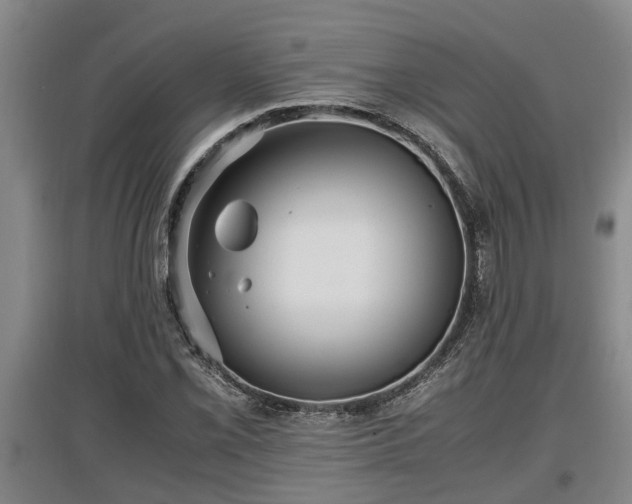 X0000097461069200802291231