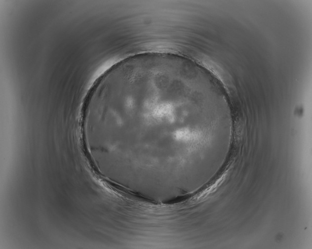 X0000097461071200802291231