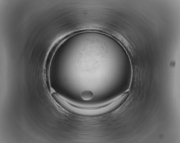 X0000097461072200802291231