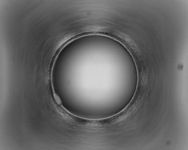 X0000097461073200802291231