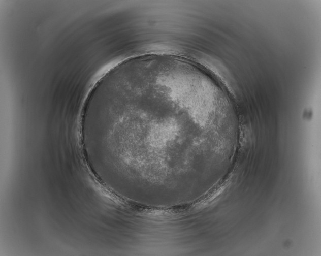 X0000097461074200802291231