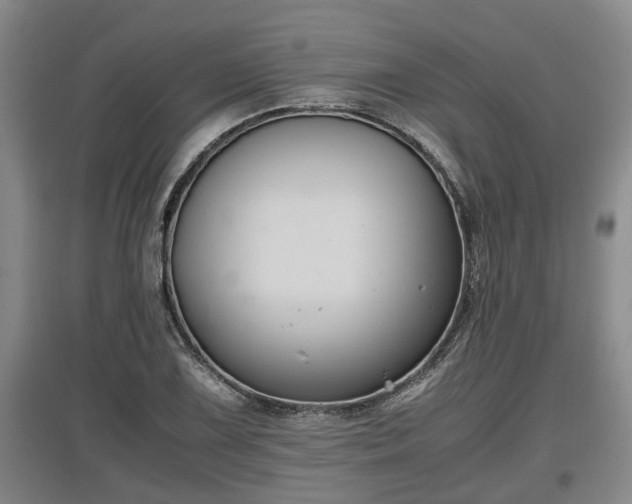 X0000097461075200802291231