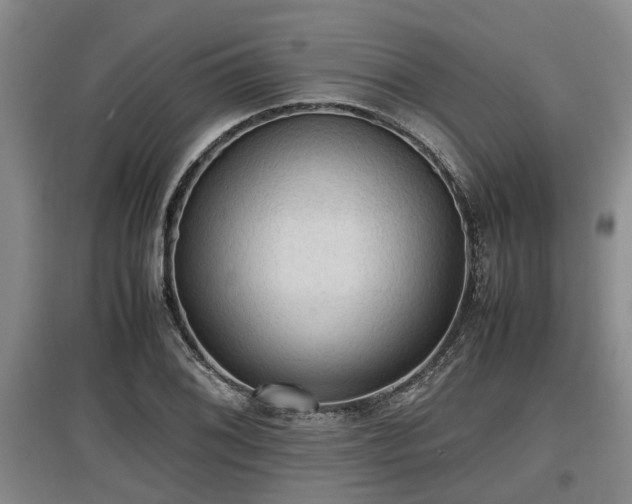 X0000097461076200802291231