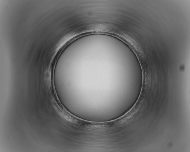 X0000097461078200802291230