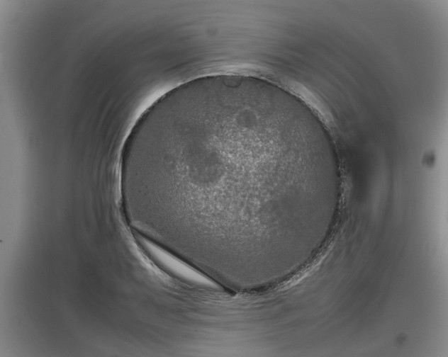 X0000097461079200802291230