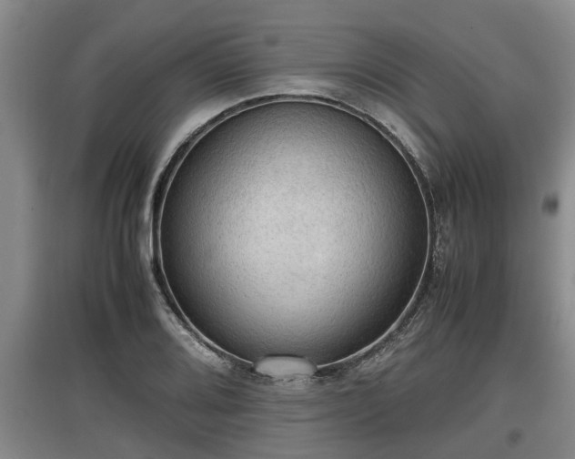 X0000097461080200802291230