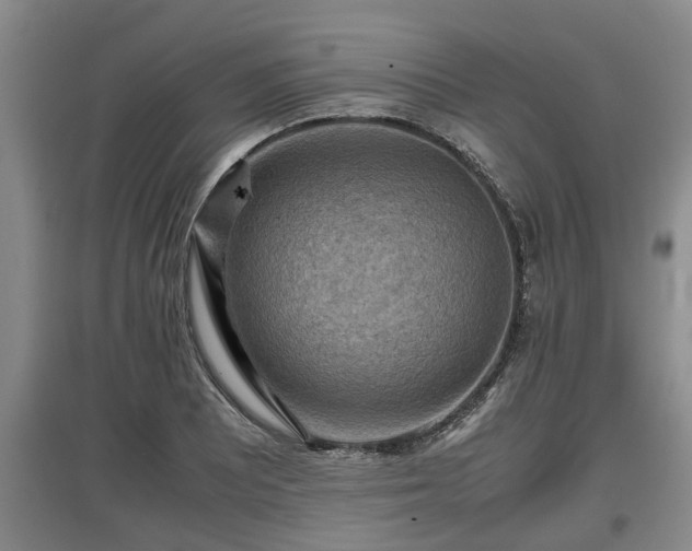 X0000097461081200802291230