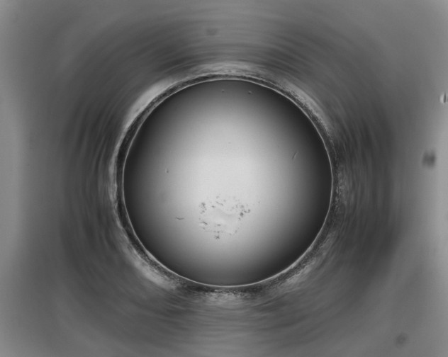 X0000097461082200802291230