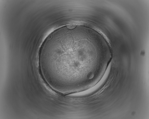 X0000097461083200802291230