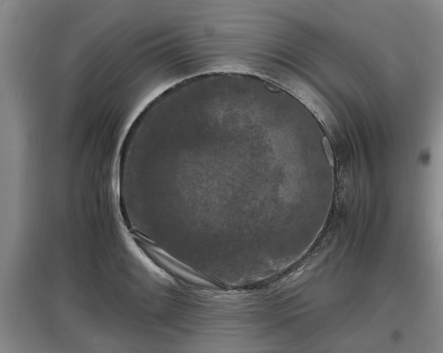 X0000097461084200802291230