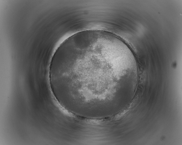 X0000097461086200802291230