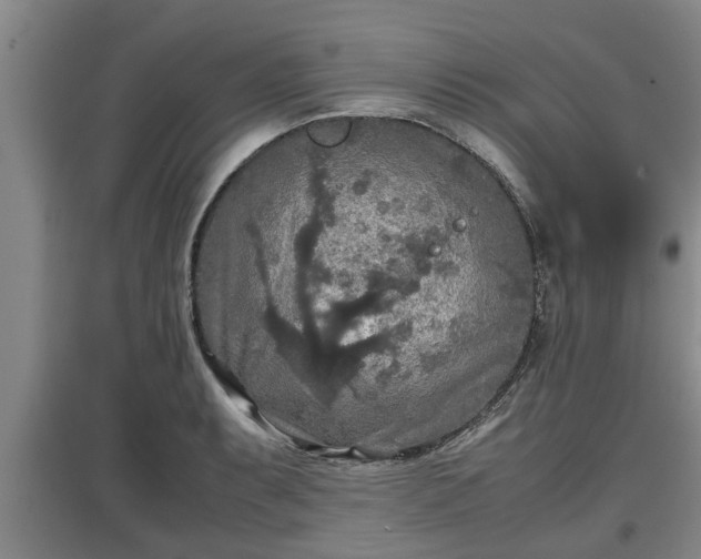 X0000097461087200802291230